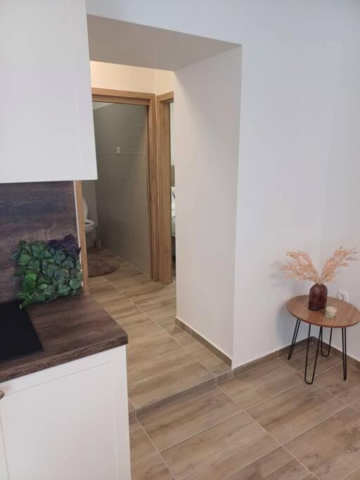 Central Vita Apartment Fiume Esterno foto